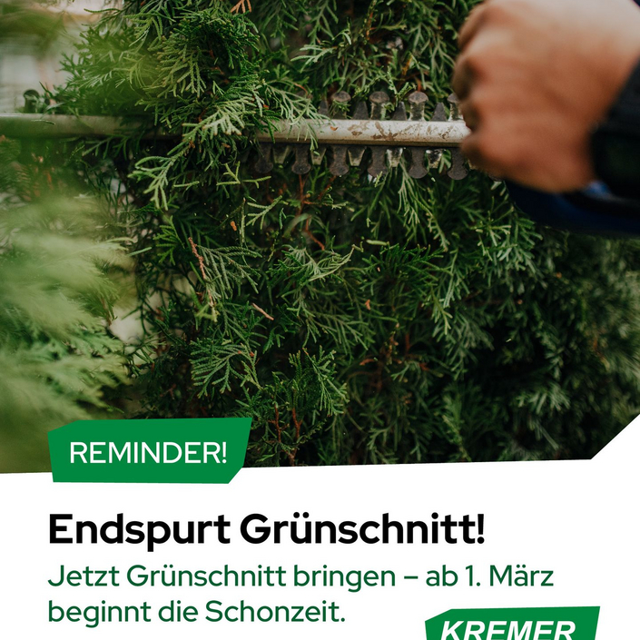 ⏰ Letzte Chance! Grünschnitt-Entsorgung! 🚨

Der Zeitraum für radikale Rückschnitte und Fällungen läuft bald ab – nutzt...